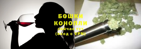 spice Алзамай