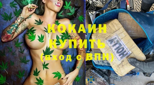 spice Алзамай